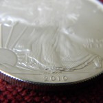 Macro photo